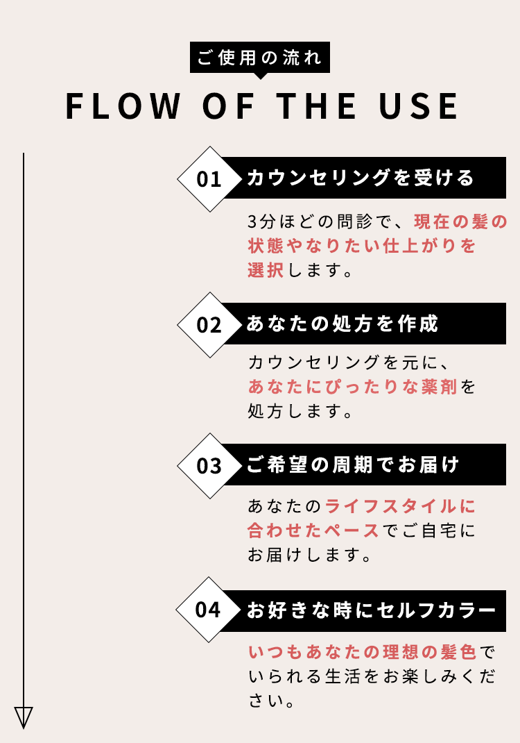 03 美髪仕上げの簡単カラーセット