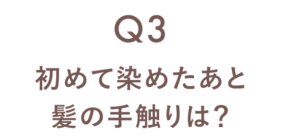 Q3 初めて染めたあと髪の手触りは？