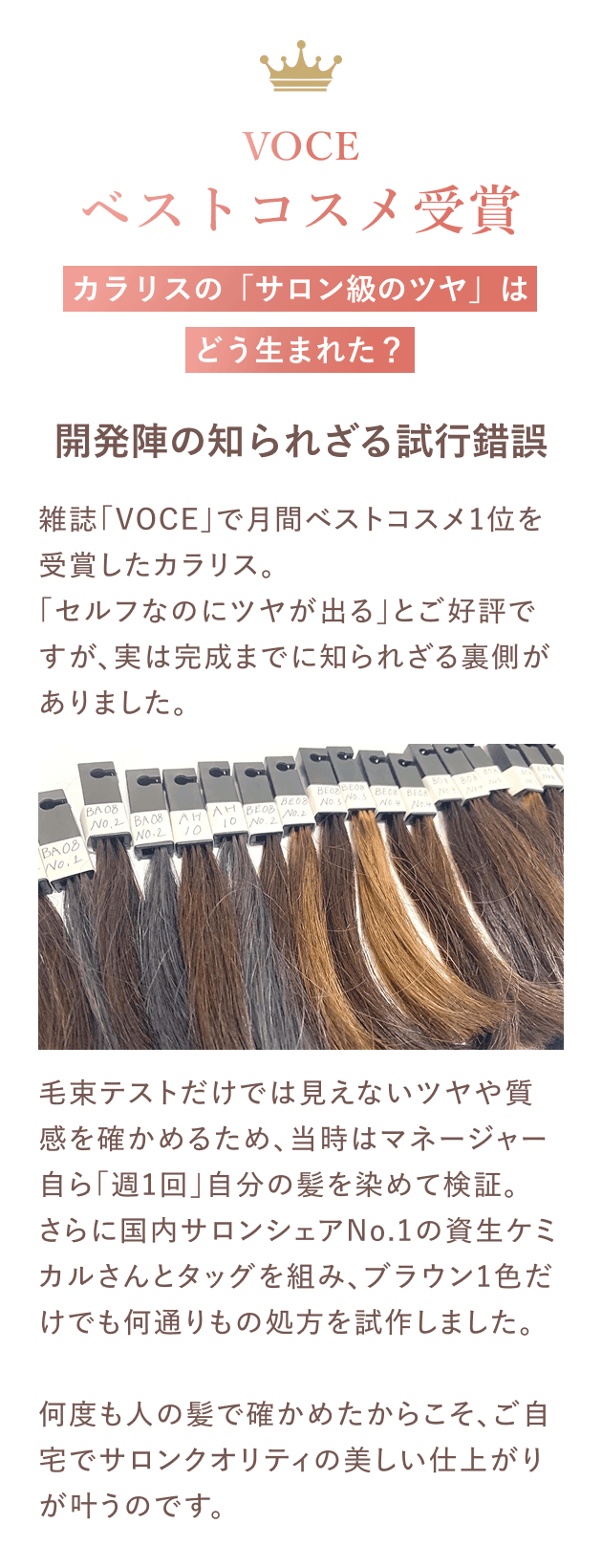 VOCE月間ベストコスメ1位を受賞。開発陣が毛束テストと自分の髪で試行錯誤を重ね、サロン品質のツヤと質感を追求しました。