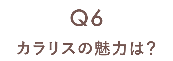 Q6 カラリスの魅力は？