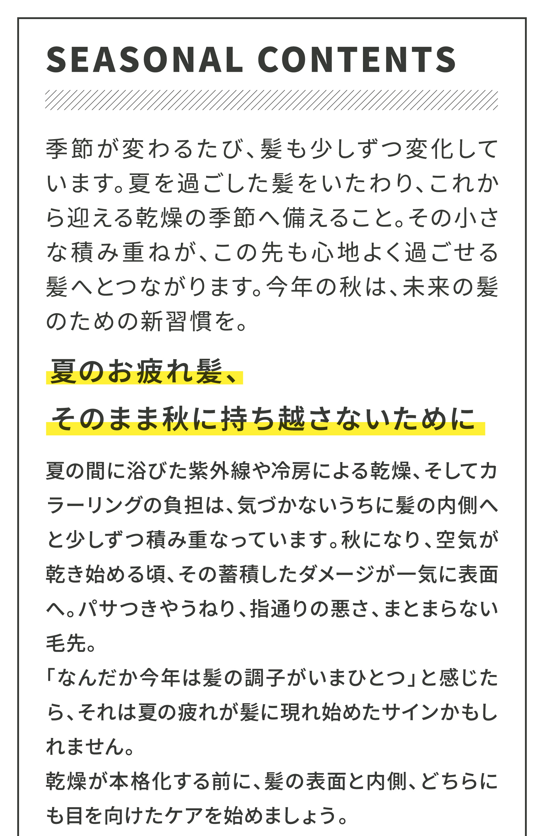 季節限定コンテンツの記事画像01