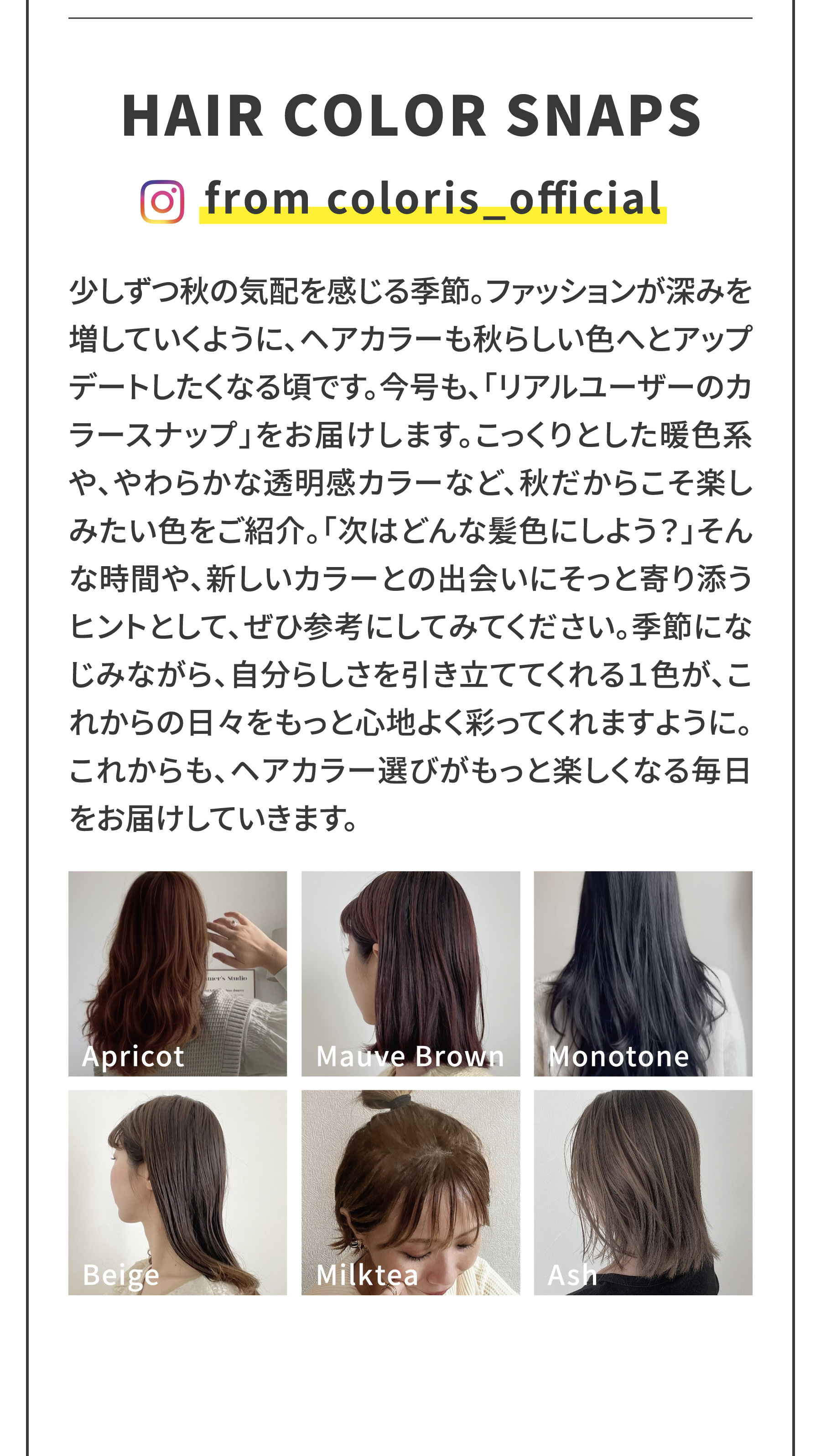 インフォメーションの記事の画像２